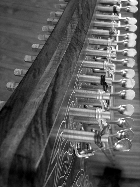 Vertebrae 2. Photo Study.