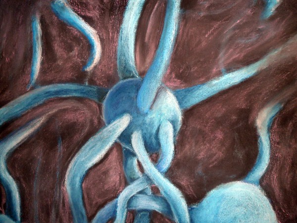 Neurons