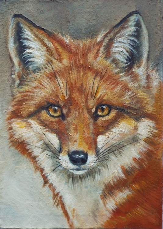 Foxy