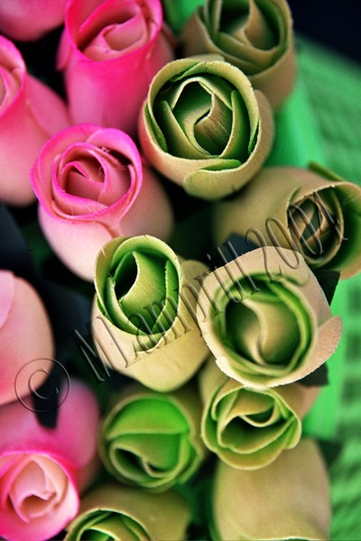 Green & Pink Roses