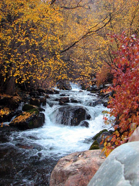 Waterfall