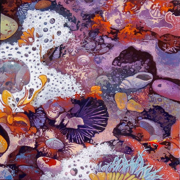 TIDE POOL 2 (SOLD)