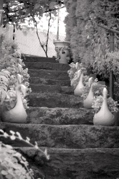 Swan Stairs