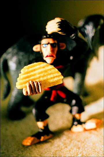 wanna chip
