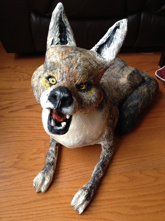 Coyote Front Side