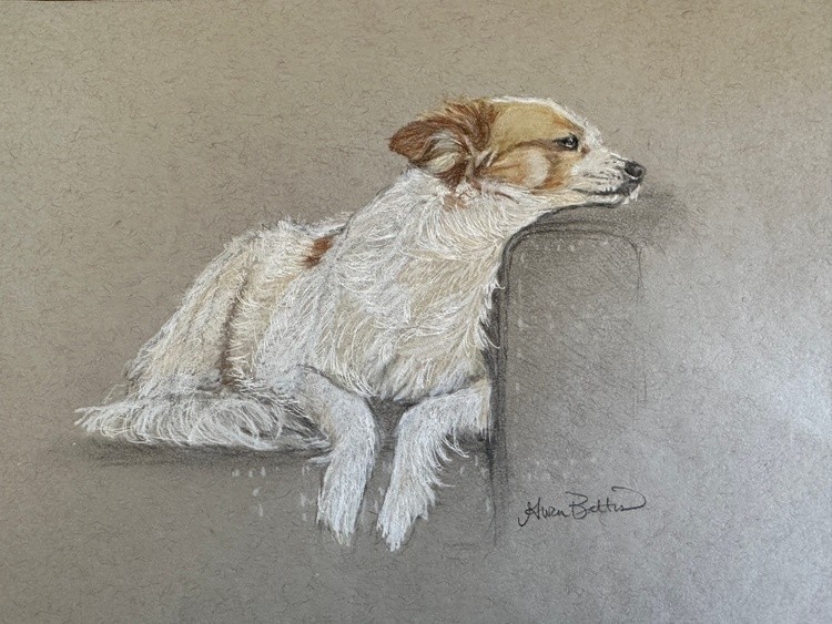 Sammi Dog
