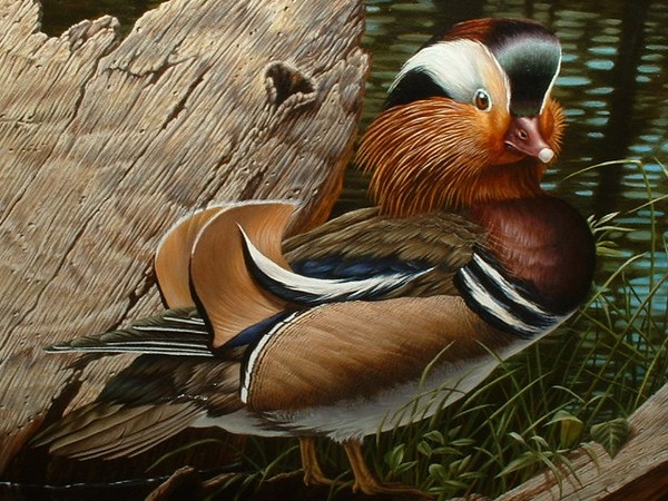 Mandarin