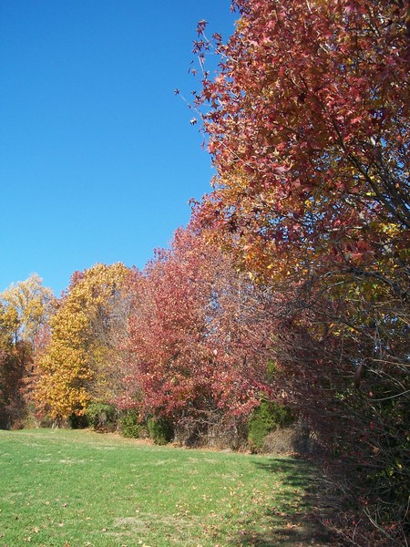 Autumn