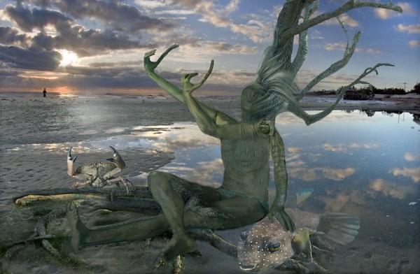 awakening