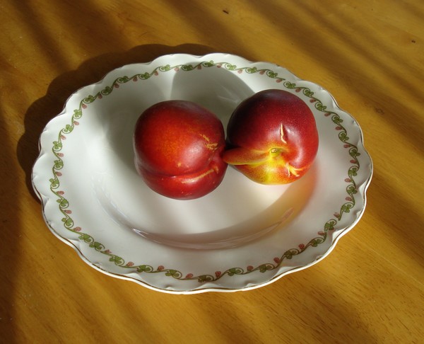 Meeting of the Peaches