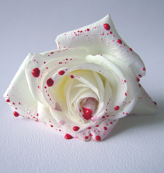 Love Lies Bleeding