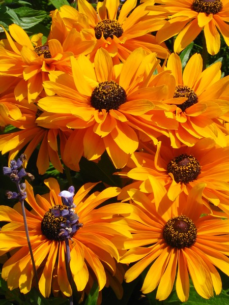 ..SUMMER GREETINGS FROM HELSINKI