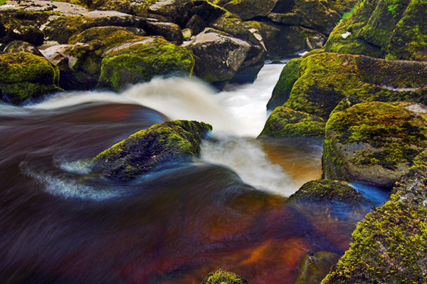 Strid, Bolton Abbey II
