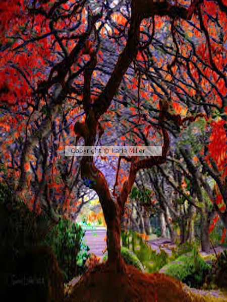 Landscape 11
