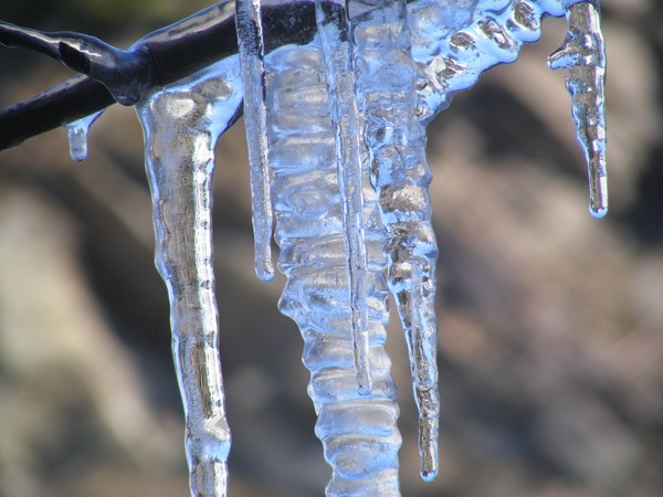 ICE