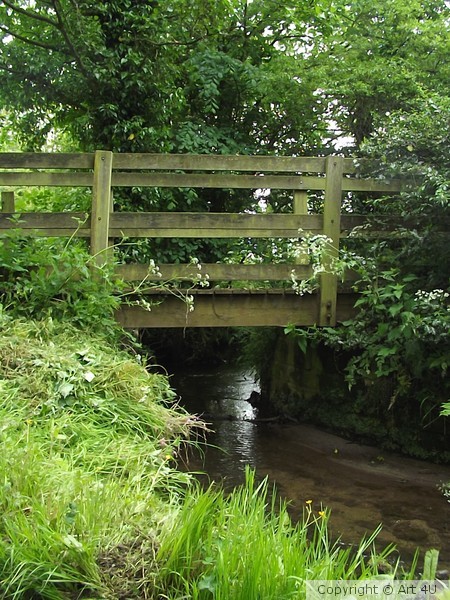 Wooden stream Bridge
