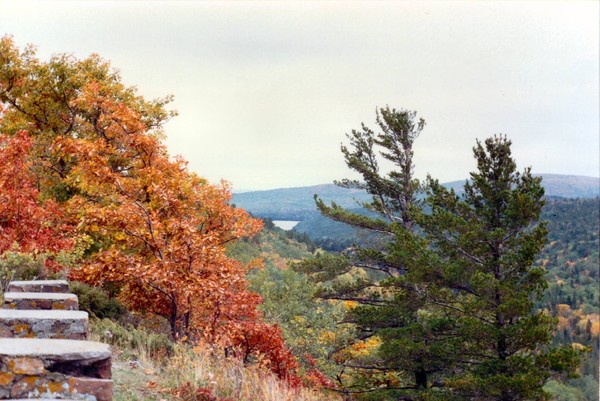 A view from the top