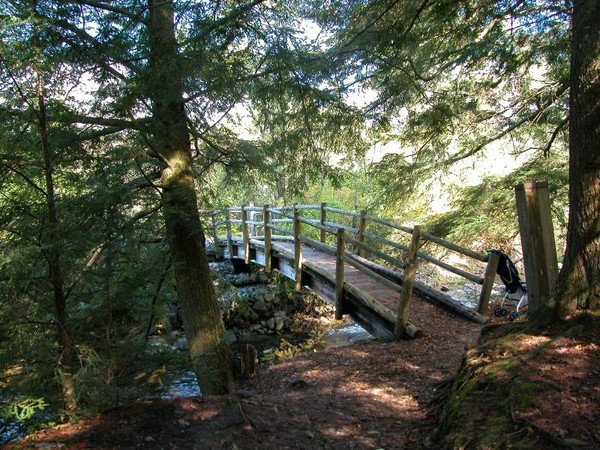 The Bridge