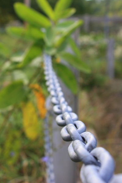 Linked Into Nature