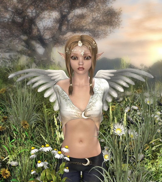 Sweet Fae