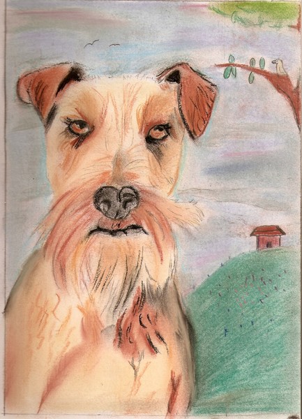 doggie