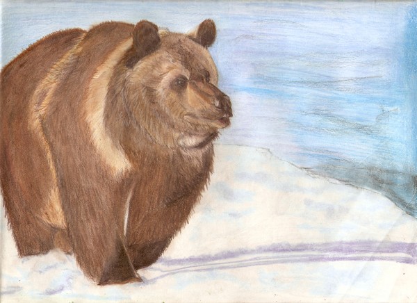 Grizzly
