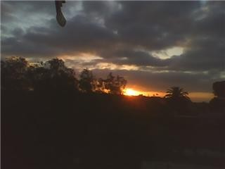 peeking sun