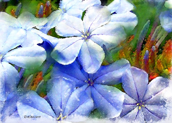 Purple Elagance