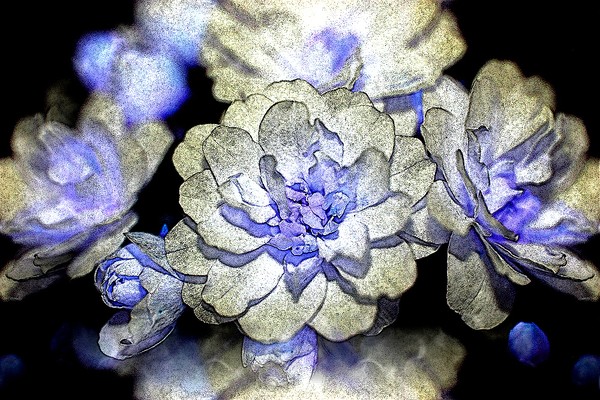 Faerie Lights II