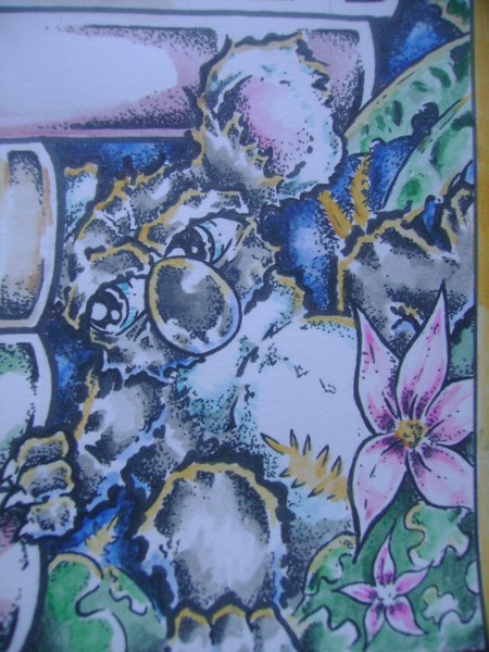 koala