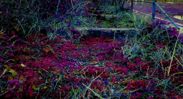 Overgrown