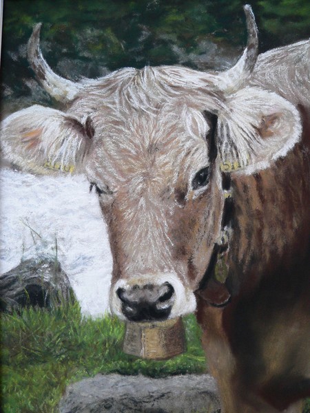 Swiss cow