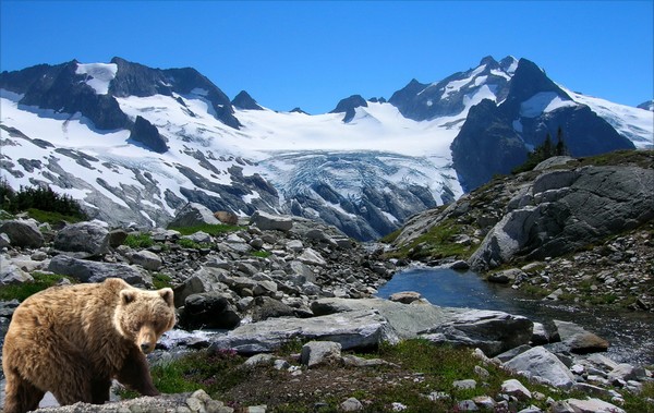 1068-Snow Mountain Stream