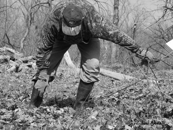 Clearing the Brush Series