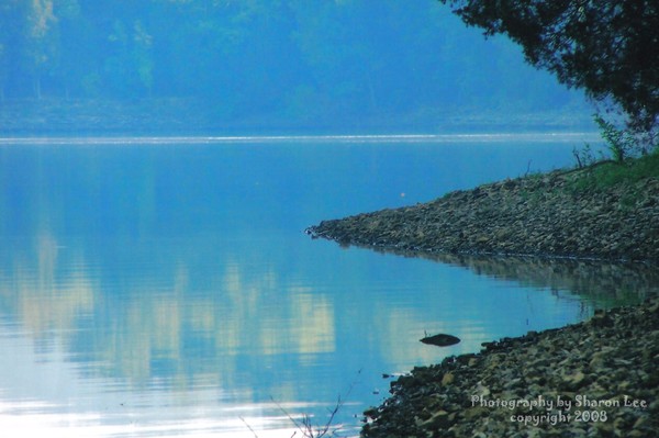 Peaceful on the Point