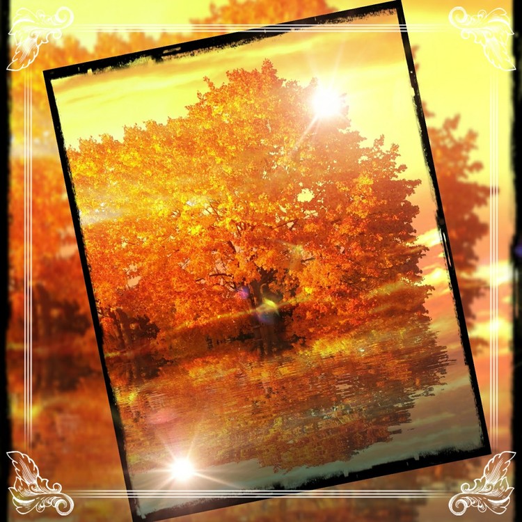 Autumn sunset