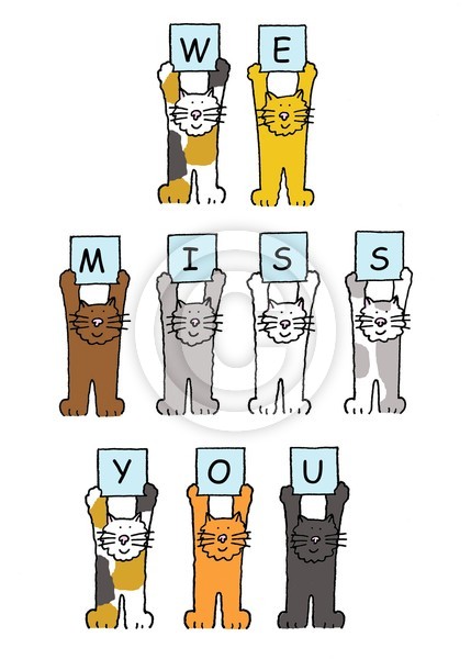 We miss you cats.