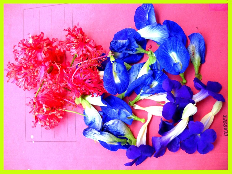 Abstract-Ganesh-Flowers