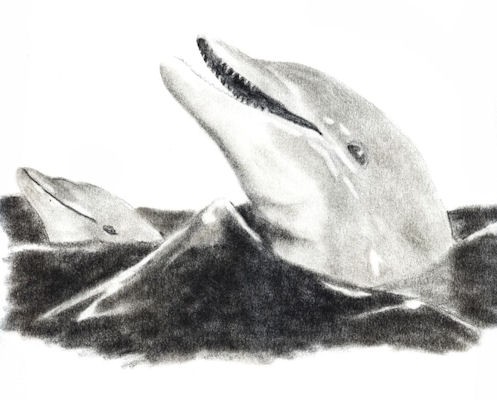 A Friendly Face