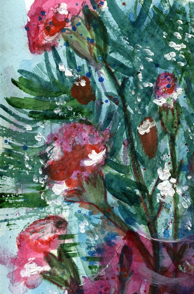MOTHER'S DAY CARNATIONS