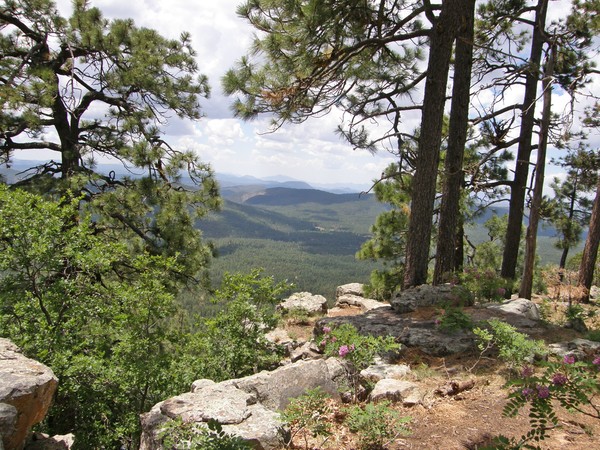 Woods Canyon
