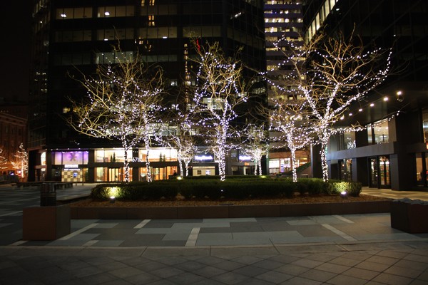 trees in splindor