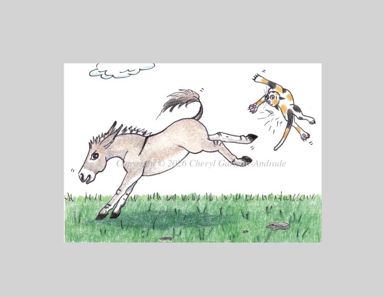 Donkey Kicking Cat Illustration 