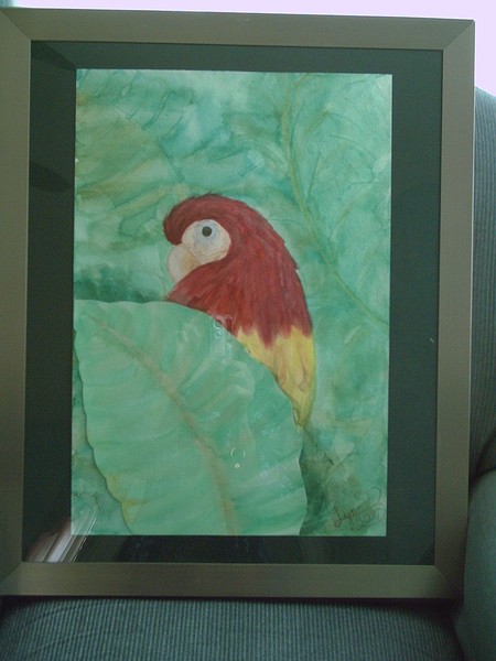 the parrot