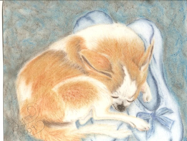 piglet