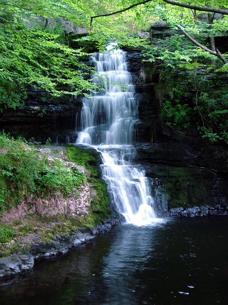Secluded Falls