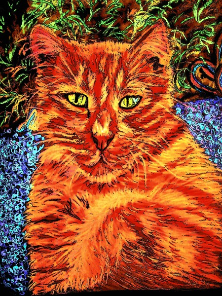 Digital cat
