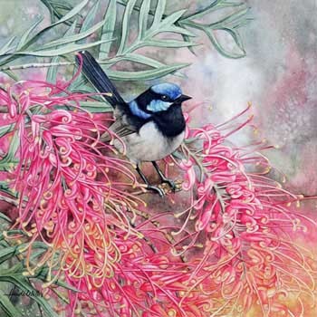 Blue Wren