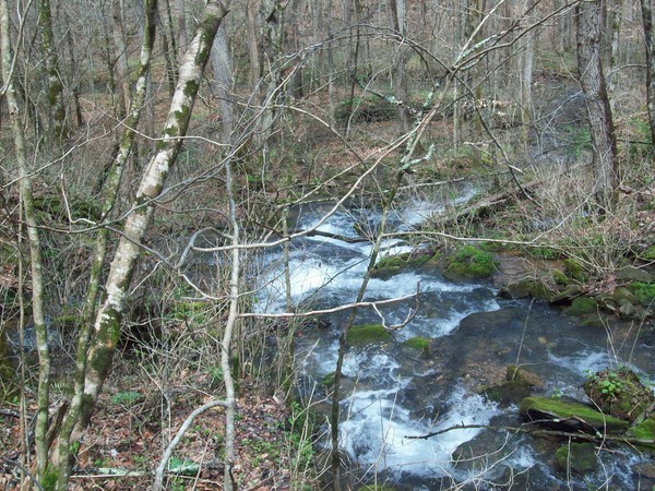Stream from waterfall