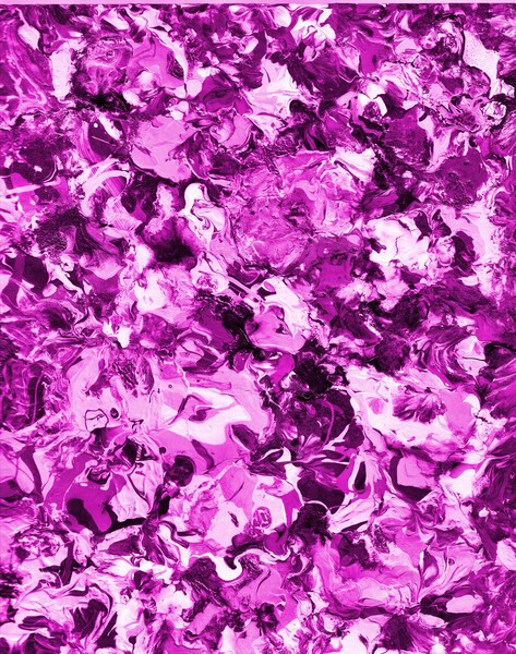 Lavender Blossoms